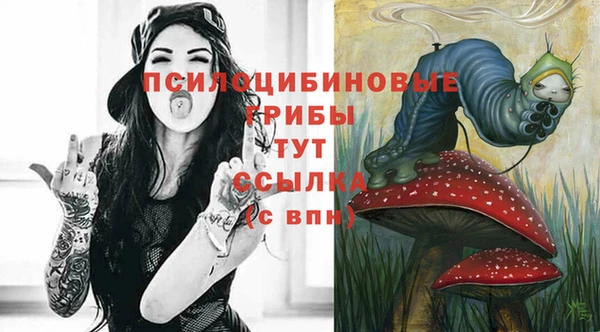 трава Надым