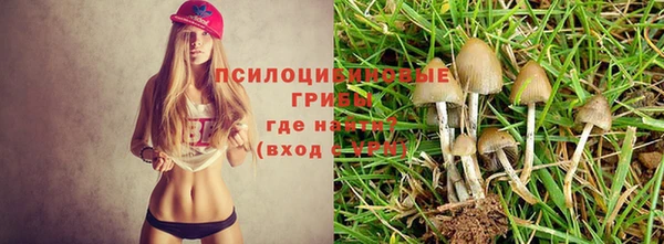 а пвп мука Навашино